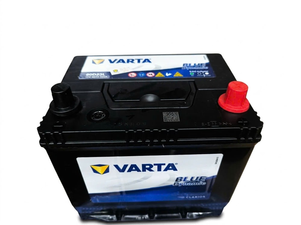 Ắc quy Varta 60D23L
